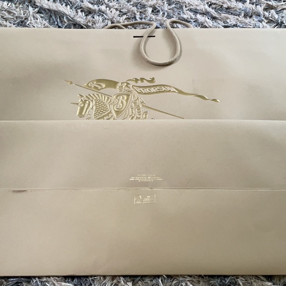 Burberry Large Paper Bag - Picture 5 of 5